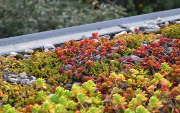 the cost of Pipe Ridware green roof installation
