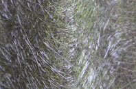 Pipe Ridware fibreglass roof work